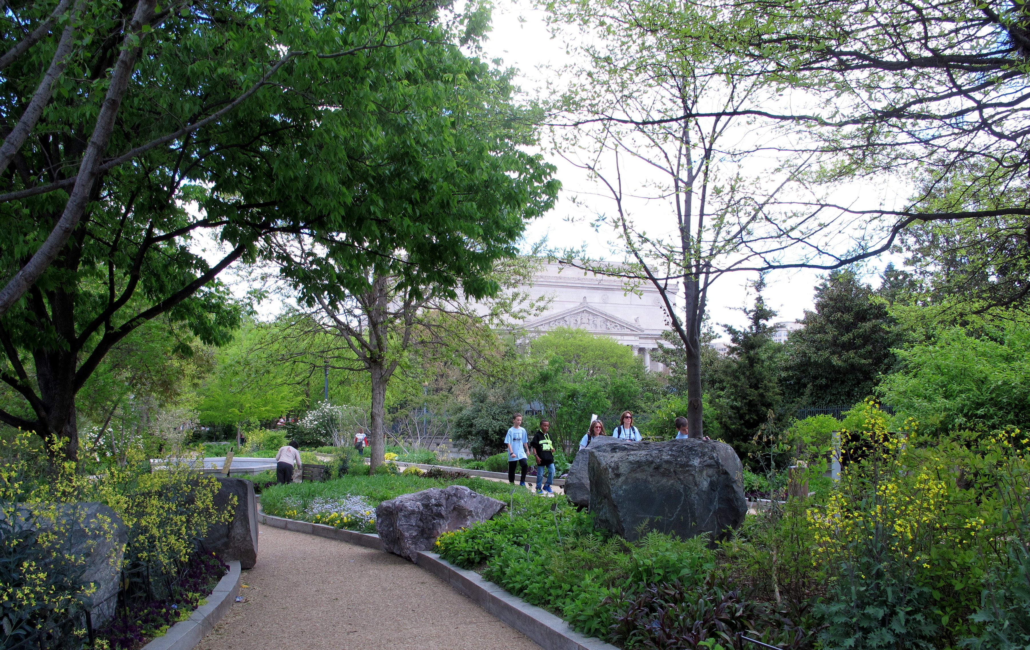 A pollinator garden bed with a mix of flowering plants